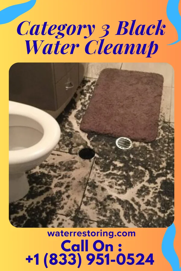 Category 3 Black Water Cleanup in Miller, NE