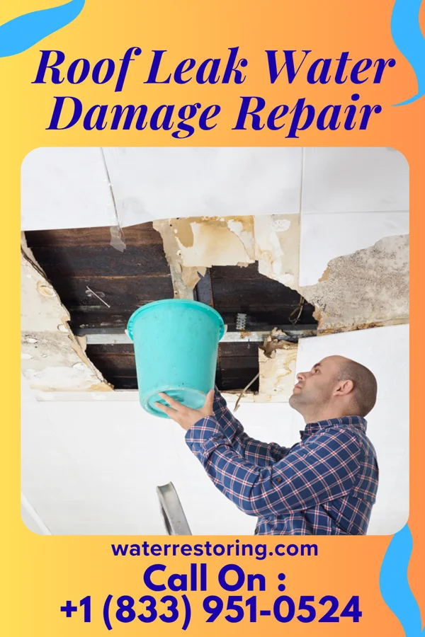Roof Leak Water Damage Repair in Miller, NE